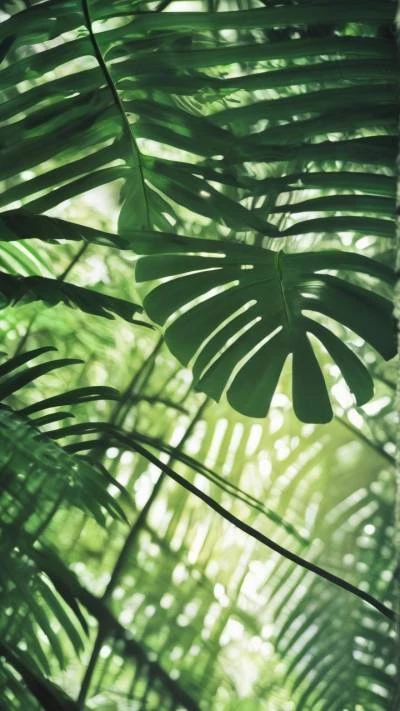 A_Green_Leaf_Is_Shown_In_The_Nature_9-16_111