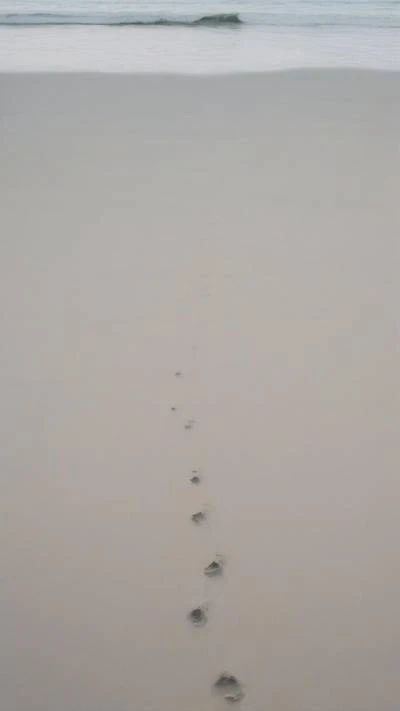 Footprints_In_The_Sand_Minimalist_9-16_34