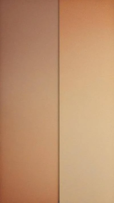 A_White_And_Brown_Wall_Patterns & Textures_9-16_79