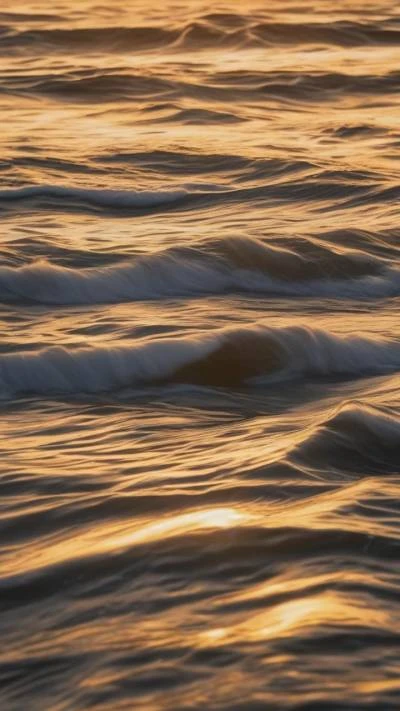 A_Close_Up_Of_The_Water_With_Nature_9-16_96
