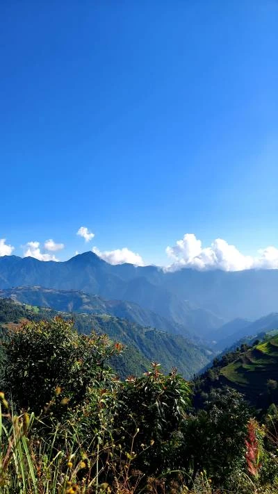 Sunny Nature