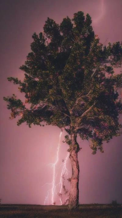 Lightning_Strikes_Through_A_Tree_Abstract_9-16_254