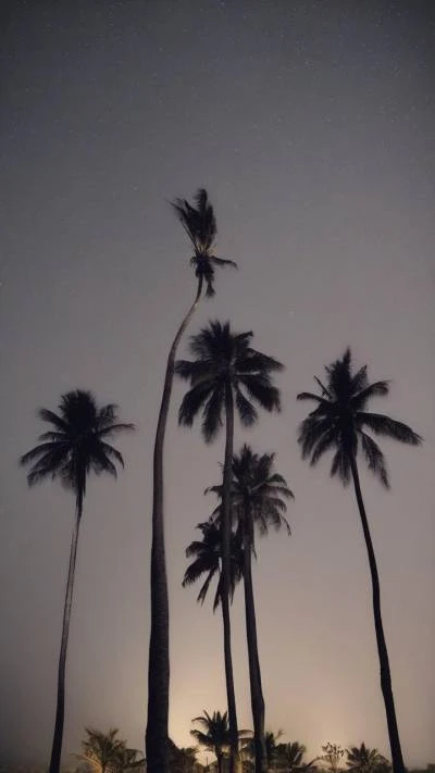 Palm_Trees_Under_The_Stars_Nature_9-16_117
